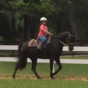 Meet your Posher, Kira